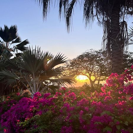 Villa Jouanacaera Le Carbet Bagian luar foto