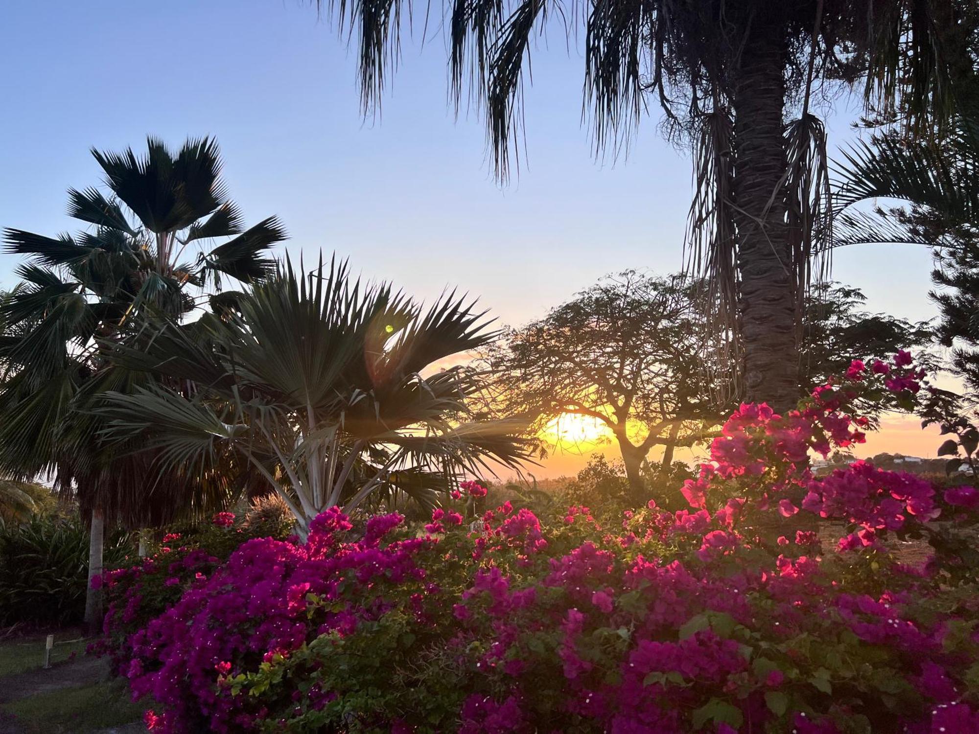 Villa Jouanacaera Le Carbet Bagian luar foto